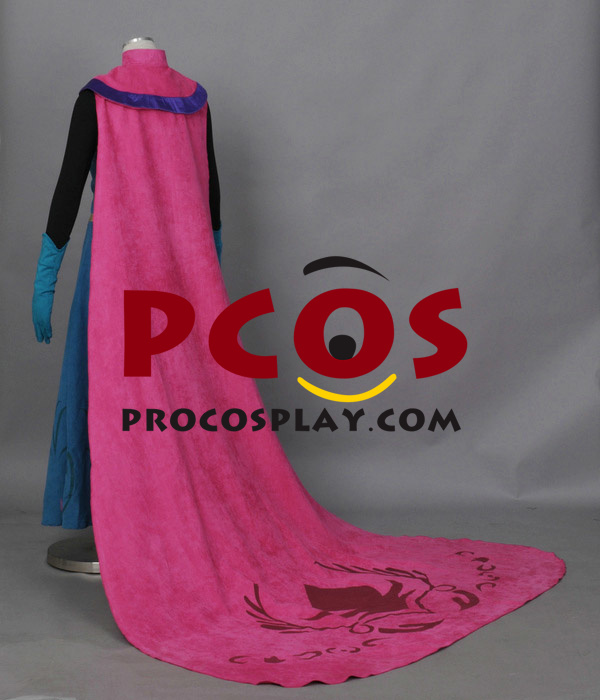 Frozen Elsa Queen Cosplay Costume Best Profession Cosplay Costumes