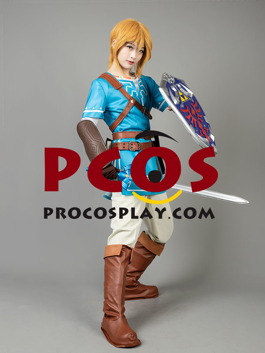 Ready To Ship The Legend Of Zelda Breath Of The Wild Link Cosplay