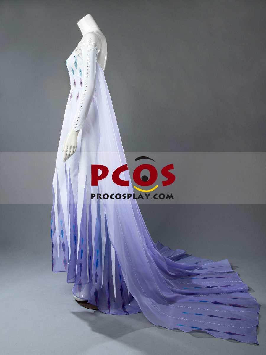 Frozen 2 Elsa Spirit Dress Cosplay Costume Mp005584 Best Profession Cosplay Costumes Online Shop 