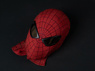 Picture of Amazing Peter Parker Cosplay Costume C09221S