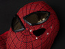 Picture of Amazing Peter Parker Cosplay Costume C09221S